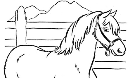 PROTEGEONS NOS CHEVAUX