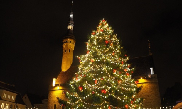 Pour le retrait du sapin de Noël à bordeaux