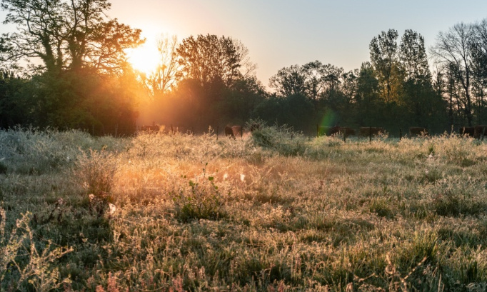 Non à l'installation d'une antenne relais à Izon !