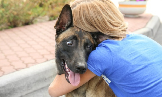 Pour le respect des animaux