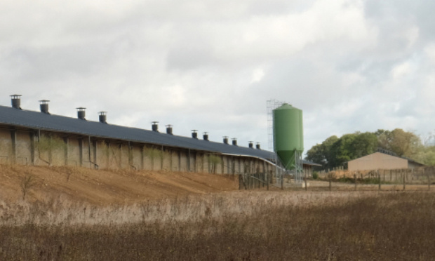 Refus d'implantation d'un cinquième poulailler bio industriel sur la commune de Saint-Martin-des-Bois (41)