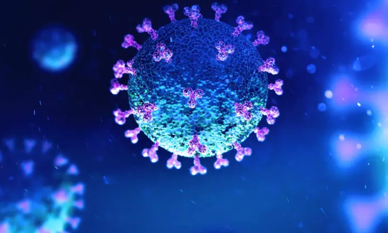 #StopCovidUniversité - #CoursHybridesPourTous