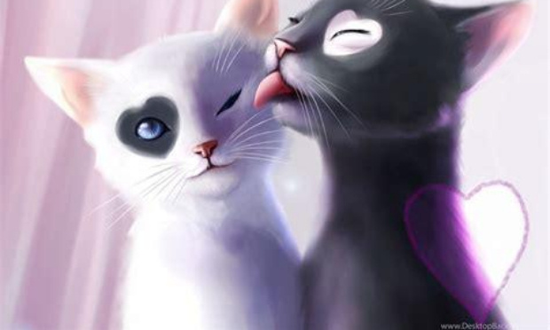 Ajout de d'autres &eacute;motions pour les &eacute;mojis chat