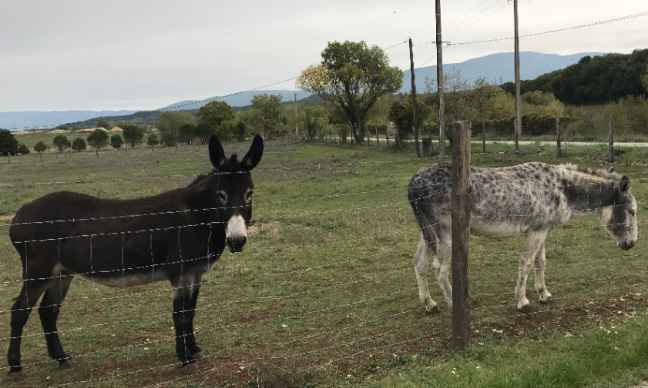 AU SECOURS nos ânes de Chatuzange-le-Goubet. STOP à l'extension de la décharge à poubelles ONYX-VEOLIA (26) !