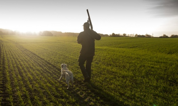 Abolir la chasse à courre et la chasse tout court !