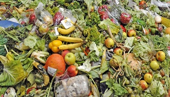 Halte au gaspillage alimentaire !