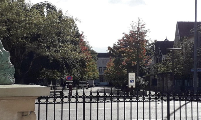 Scéens, ensemble, protégeons cet îlot de verdure au centre de la ville, qu’est l’Avenue de la République !