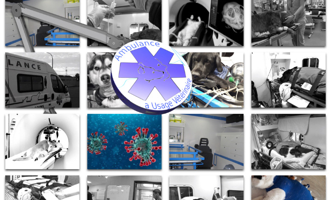 Signez la pétition Ambulance Vet'Ambu pour garantir l'accès aux soins de votre animal !