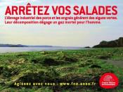 Stop au projet de décret du gouvernement AYRAULT autorisant les élevages de 450 à 2000 porcs sans enquête publique à partir du 01/01/2014 !