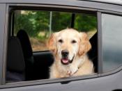 Des places de parking à l'ombre