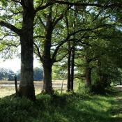 Non à la ferme éolienne des Besses