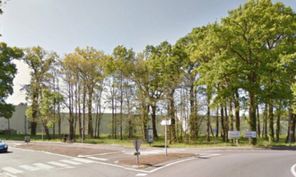 Non à la destruction des arbres