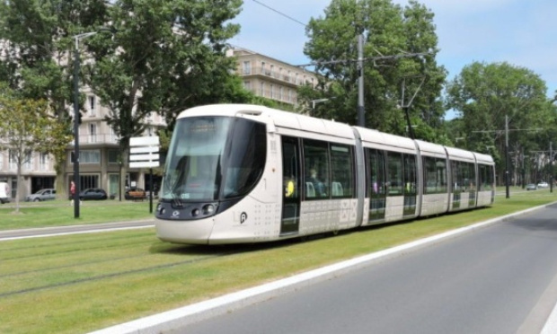 L'admission des chiens dans les transports en commun Lia au Havre