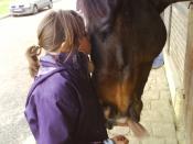 Equitation : conservons une TVA à 7%