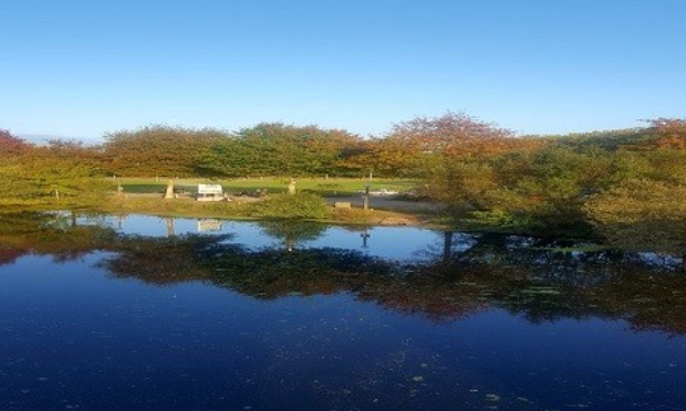 Protection des arbres du parc de la Sèvre à Vertou