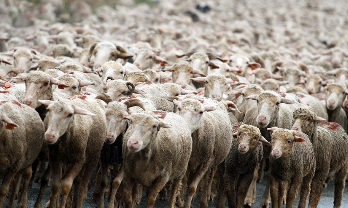 Non à la taxe kilométrique !