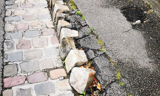 Le scandale du quartier du Champ des oiseaux