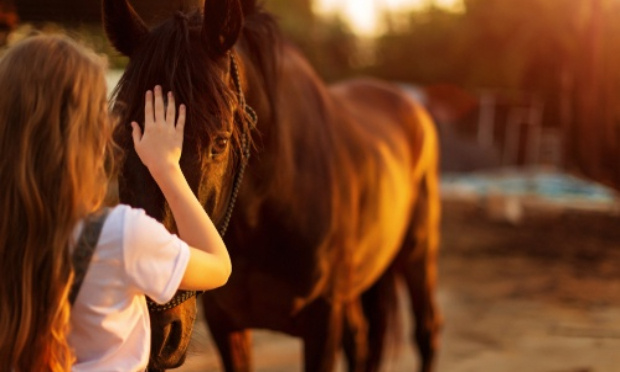 Chevaux, bovins mutilés en France : déploiement de l'armée dans les campagnes et fermeture des sites sataniques sur les réseaux sociaux