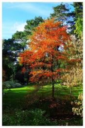 Pour une reconnaissance médicale de la spasmophilie