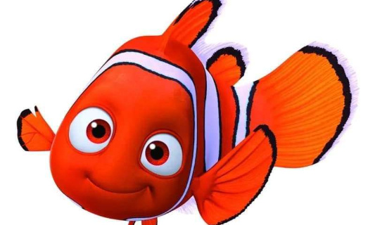 Laide de nemo