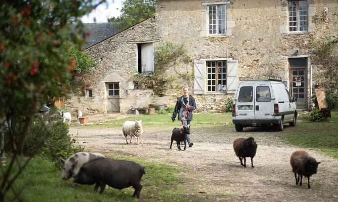Sauvons la Cour des Aulnays !