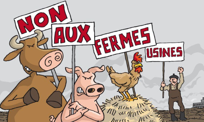 Une ferme de 400 vaches ne peut être protectrice de l'environnement !