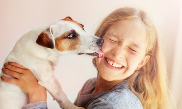 Pour que les enfants sans famille puissent visiter des refuges pour animaux