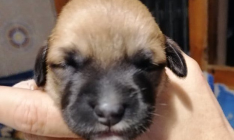 Pour plus d'équité sur les concours