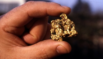 Pour la fin de l'orpaillage clandestin en Guyane !