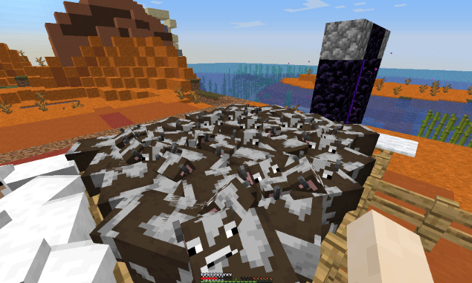 Contre l'élevage intensif dans Minecraft