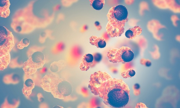 On a la preuve scientifique que la molécule CBD, un des composants du cannabis, soigne de multiples cancers et nous ne l'utilisons même pas