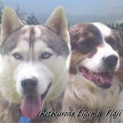 Justice pour Eiger et Fidji toujours disparus