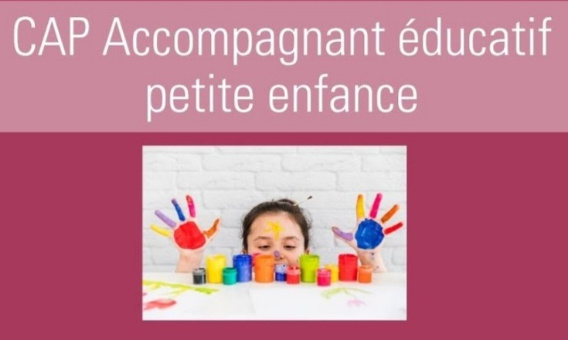 Réduction du nombre de semaines de stages pour le CAP AEPE