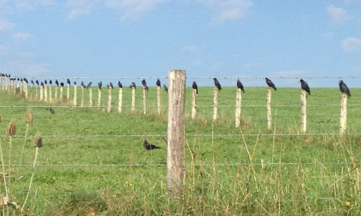 Défendre les petites entreprises et pérenniser la France des territoires, le maillage humain de nos artisans, commerçants, producteurs, la convivialité..