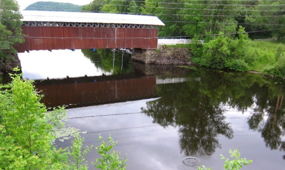 Protégeons les berges du Memphrémagog (la baie Longue et la baie Fitch)
