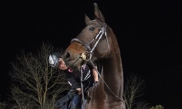 Pensez aux chevaux et aux poneys