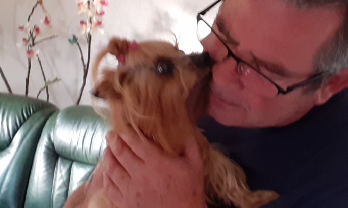 Loi contre l'abandon et la maltraitance animale