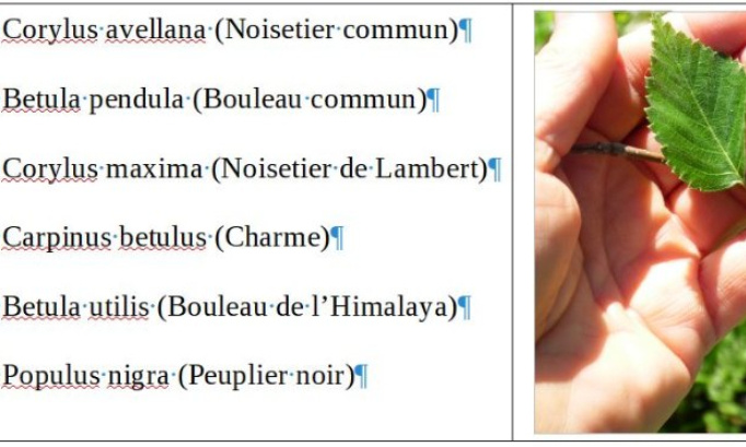 Changement de référentiels dans les formations en paysage