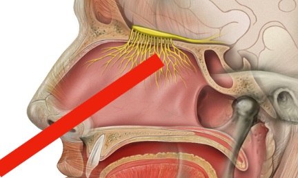 Abandon du test PCR naso-pharyngé
