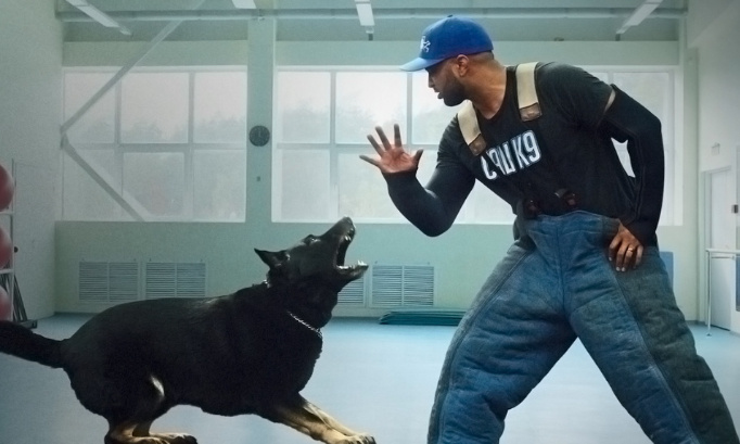 Netflix encourage la maltraitance du chien : dîtes stop !