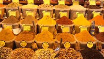 Lutter contre la Xénophobie à Orphin