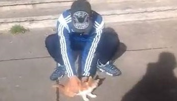 Contre le tortionnaire de chat, Farid de la morlette