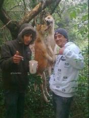 Scandaleux, il faut les arrêter !