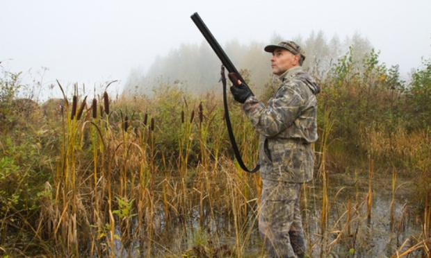 Les seuls modes de chasse autorisés seront les battues et l’affût, le Préfet demande que tous les autres gibiers soient interdits !
