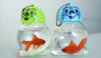 Non aux animaux vivant dans des portes clés