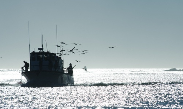 Autoriser les activités de pêche plaisance en mer