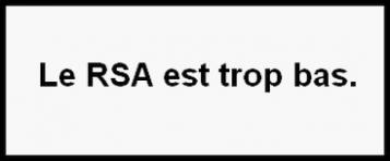 Demande d'augmentation (décente) du Revenu de Soldiarité Active (RSA)