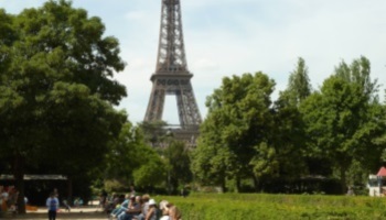 Pour une attitude réellement écologique des pouvoirs publics dans les jardins publics !