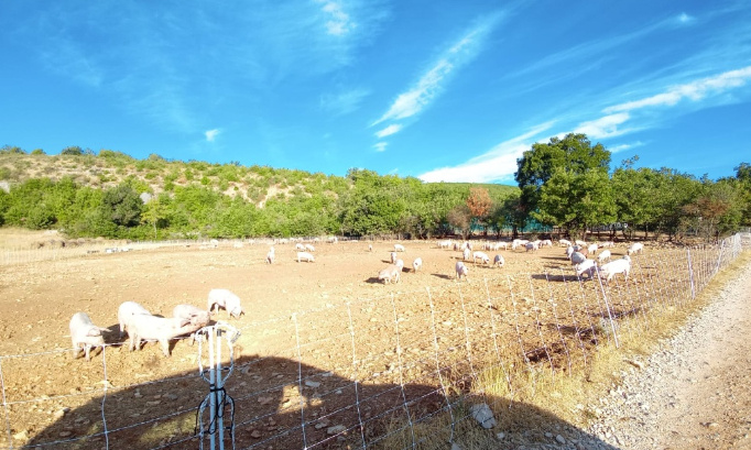 Bien vivre à Ongles