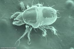 Un environnement  sain pour des travailleurs en santé!